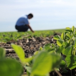 Agronomy-pic